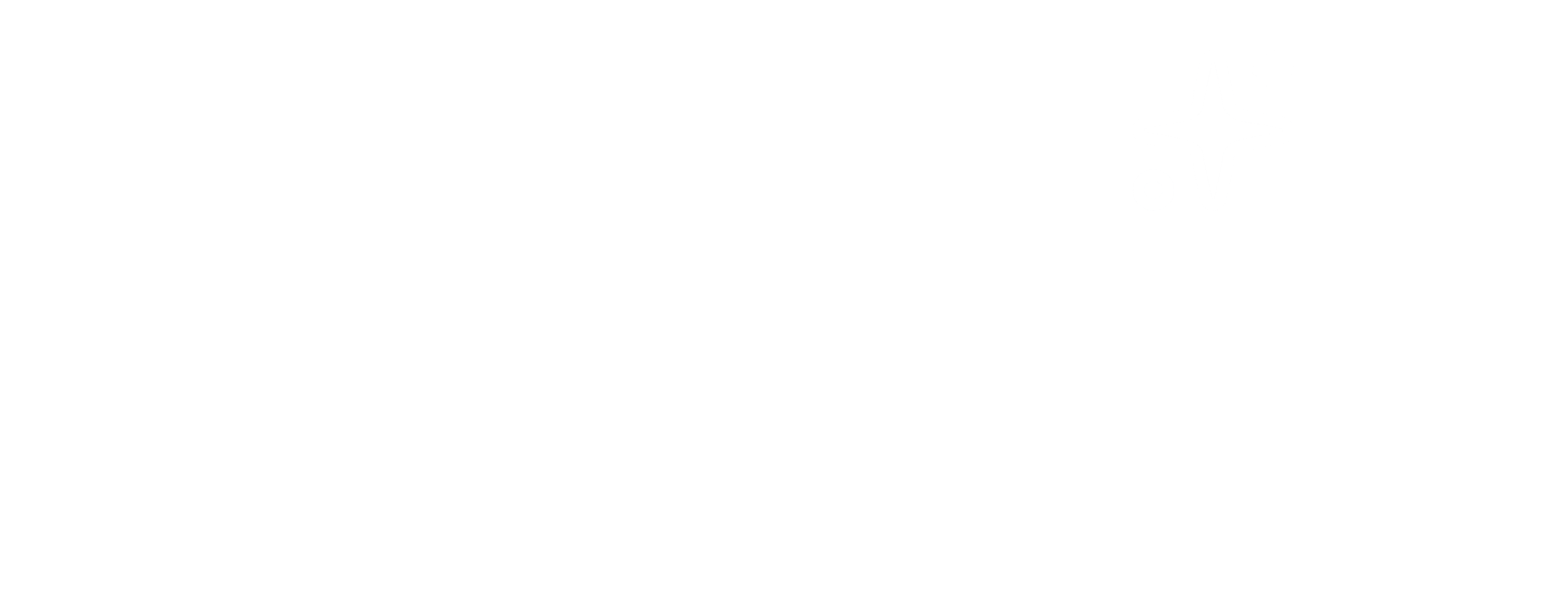 holiztik