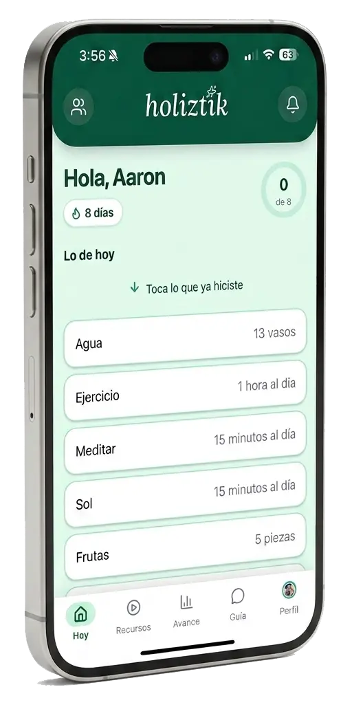 Pantalla de la app Holiztik en un celular